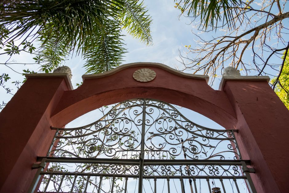 Ornate iron gate framed by palm trees, under blue sky, in Campinas